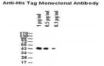 5f6183f97bdc0.png image.png