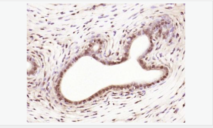 6052b9885710f.png image.png