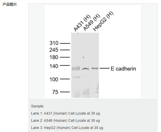 605830c90d3fd.png image.png