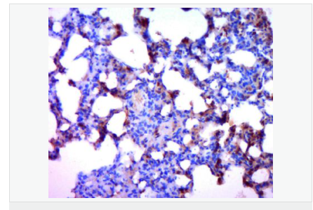 605852cfa29ce.png image.png