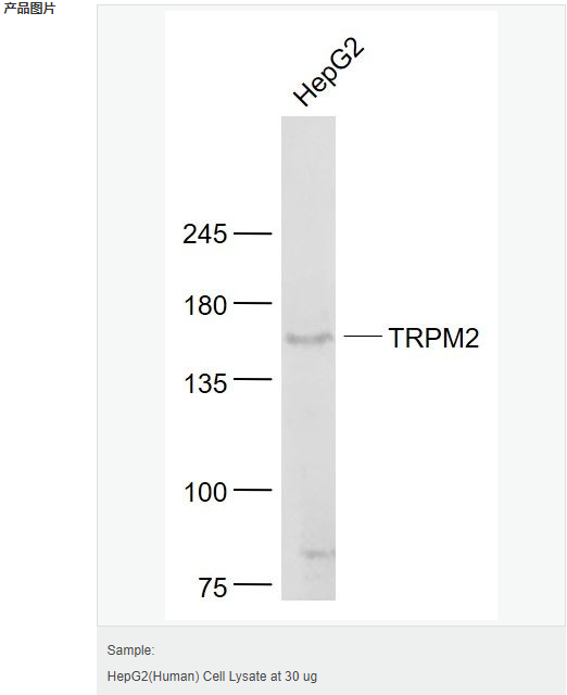 6058569bf1692.png image.png