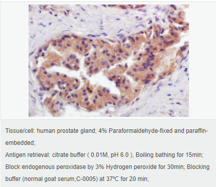 60593e9d212d1.png image.png