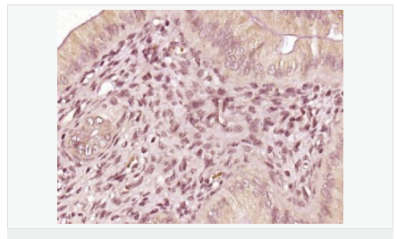 60594b7420807.png image.png