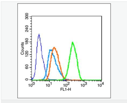 605993172b489.png image.png