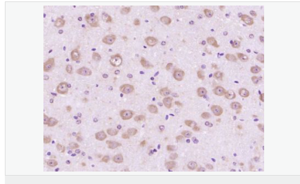 6059974d41f90.png image.png