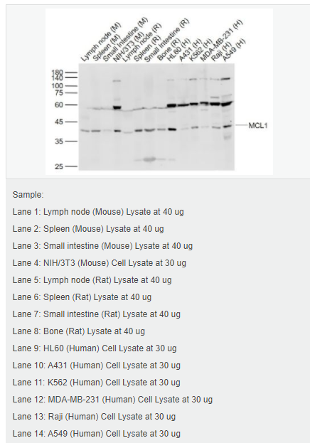 6059a6057f000.png image.png