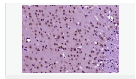 605d85ea6c7d6.png image.png