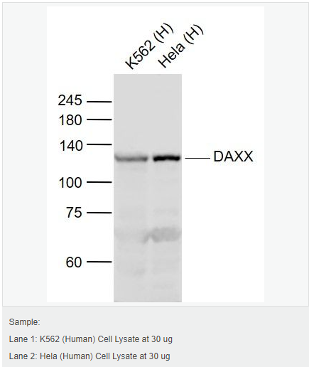 605d90e27f984.png image.png