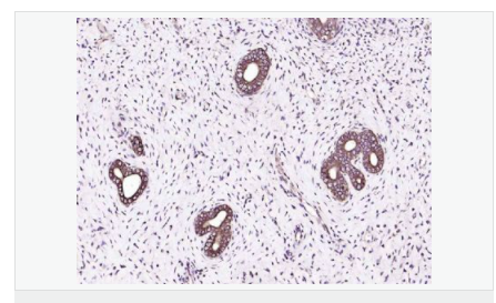 605da0f761a61.png image.png