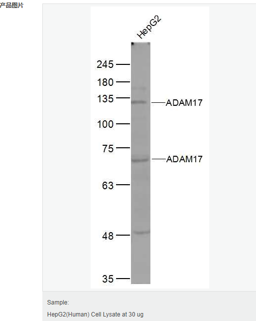 60652de4b5f87.png image.png