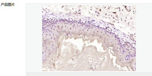 60657999e102b.png image.png