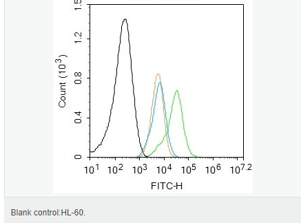 6066ae6530130.png image.png