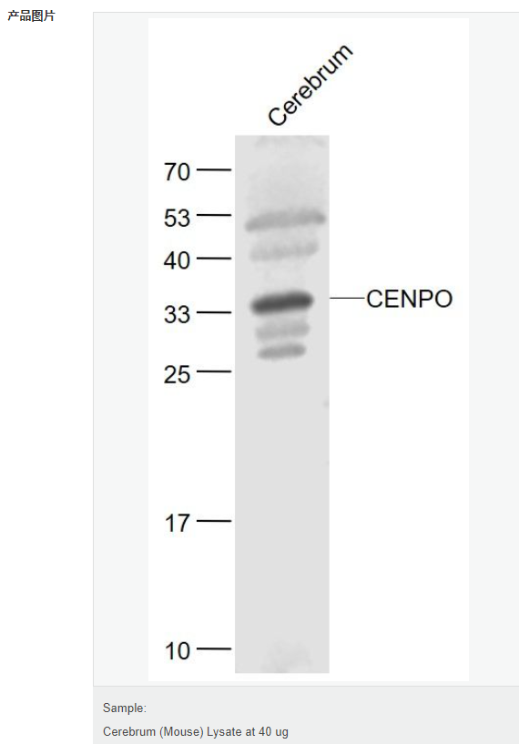 6066bd00c2b4e.png image.png