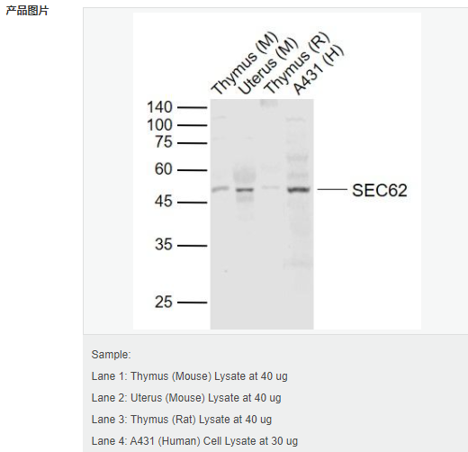 606bc8dcac971.png image.png
