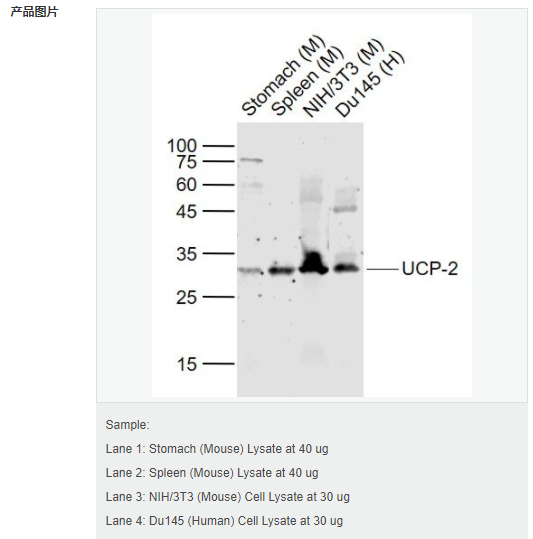 606bcca4e7516.png image.png