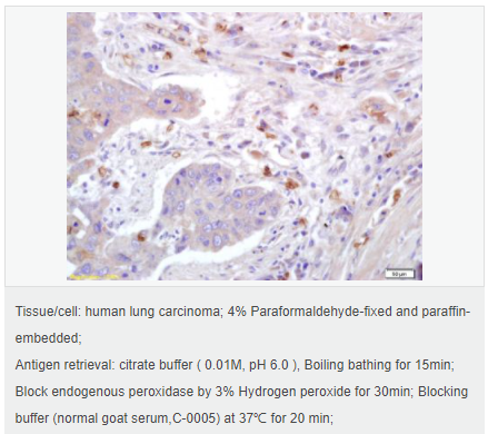 60764213a9ec9.png image.png