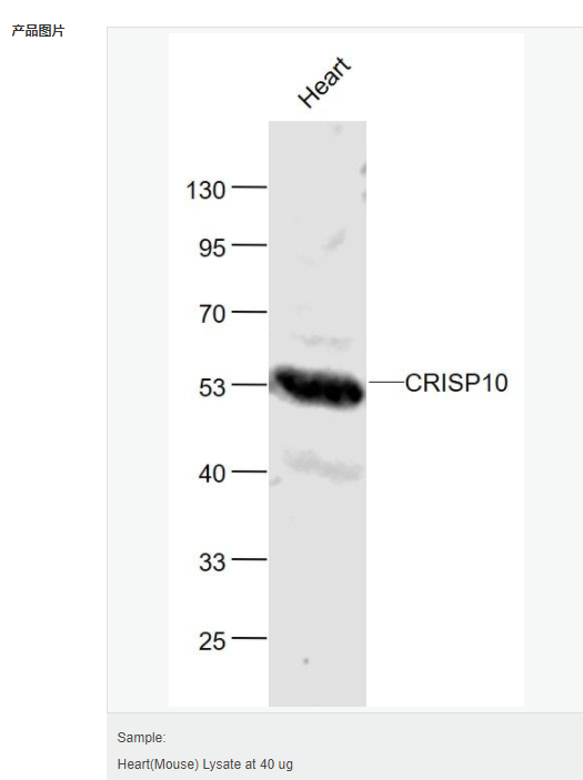 60764963a4cb7.png image.png