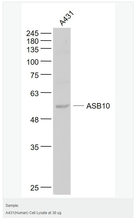 607659073157a.png image.png