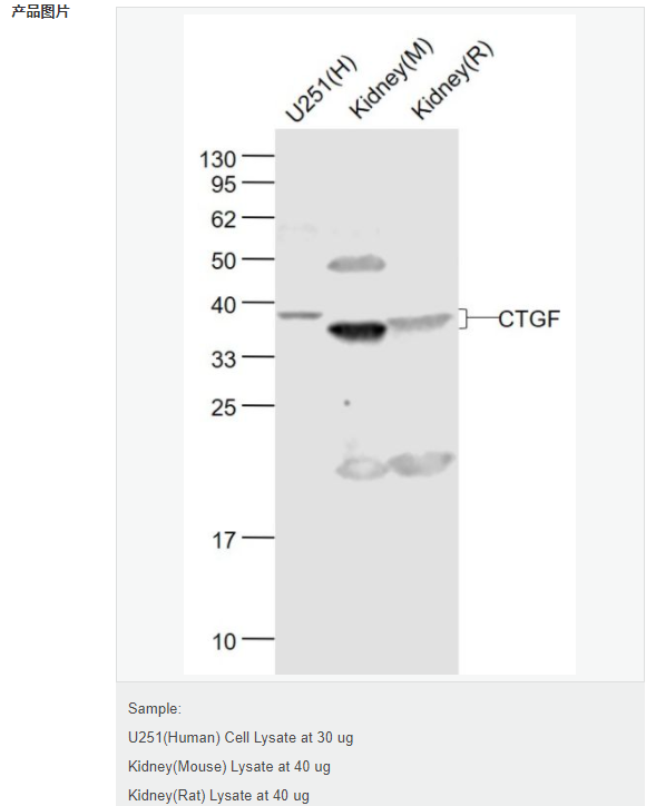 607796d2ae917.png image.png