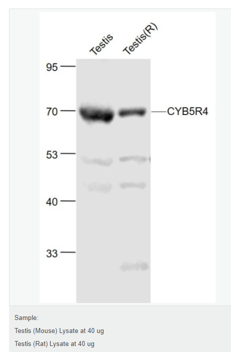 6077a9372e655.png image.png