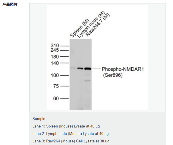 6077fb6e73979.png image.png