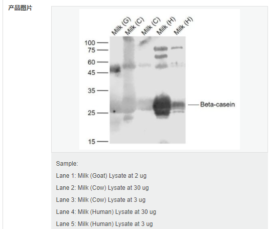 6079465c7aa59.png image.png