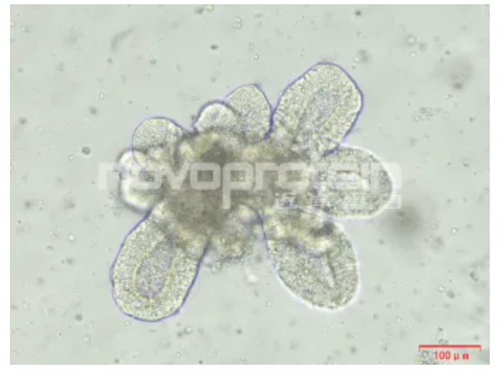 675b8eaeda74c.png image.png